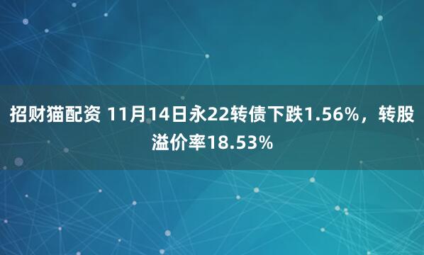 招财猫配资 11月14日永22转债下跌1.56%，转股溢价率18.53%